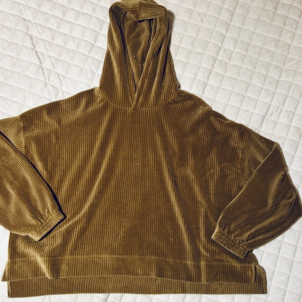 Aerie “Groove On” Velour Hoodie in Dark Green/Brown